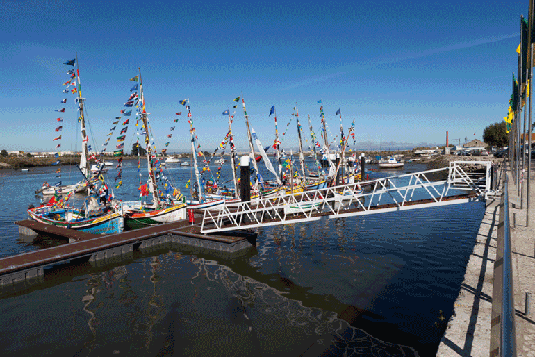 Cais Da Moita Assinala O Dia Da Marinha Do Tejo Ambiente Magazine