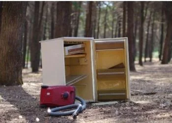 “Electrão Empresas” recolhe mais de dez toneladas de equipamentos elétricos usados na Presidência do Conselho de Ministros